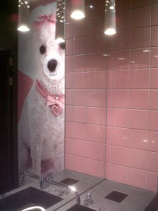 IMG00642-20130613-1933