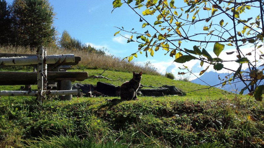 Hay Lofts Valde Escape