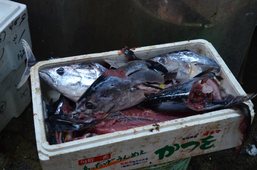 Some more fish heads