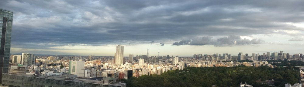 View over Tokyo Yoyogi park