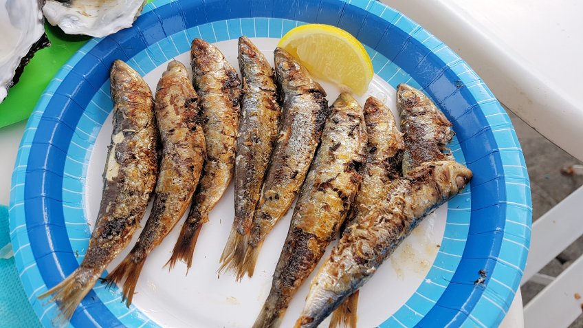 Le P'tit Bleu, Restaurant La Rochelle