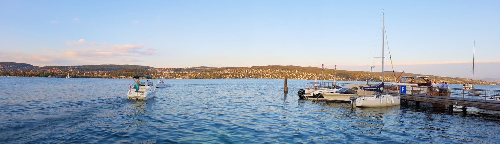 Restaurant Seerose Zürich