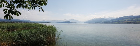 View from Adler Hurden