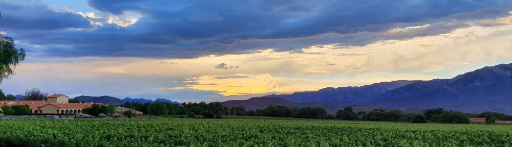 View of Colomé Bodega