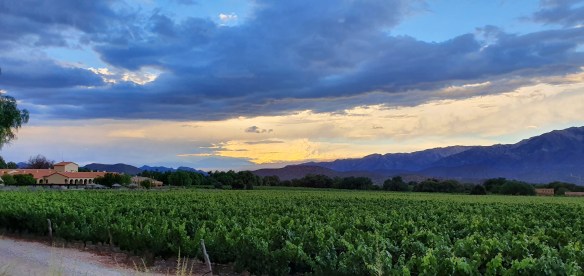 View of Colomé Bodega